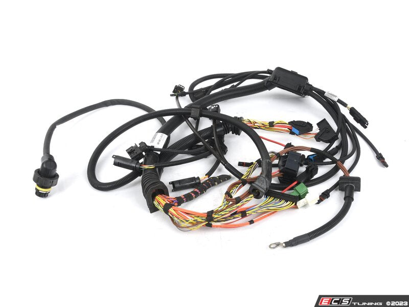 Wiring Harness - Engine Module