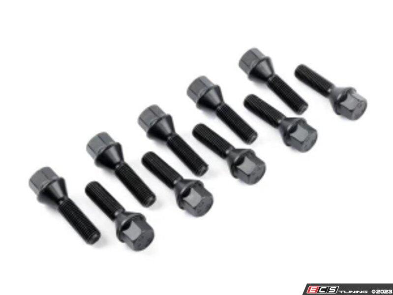 Lug Bolt Kit - Set Of 10 - 39mm