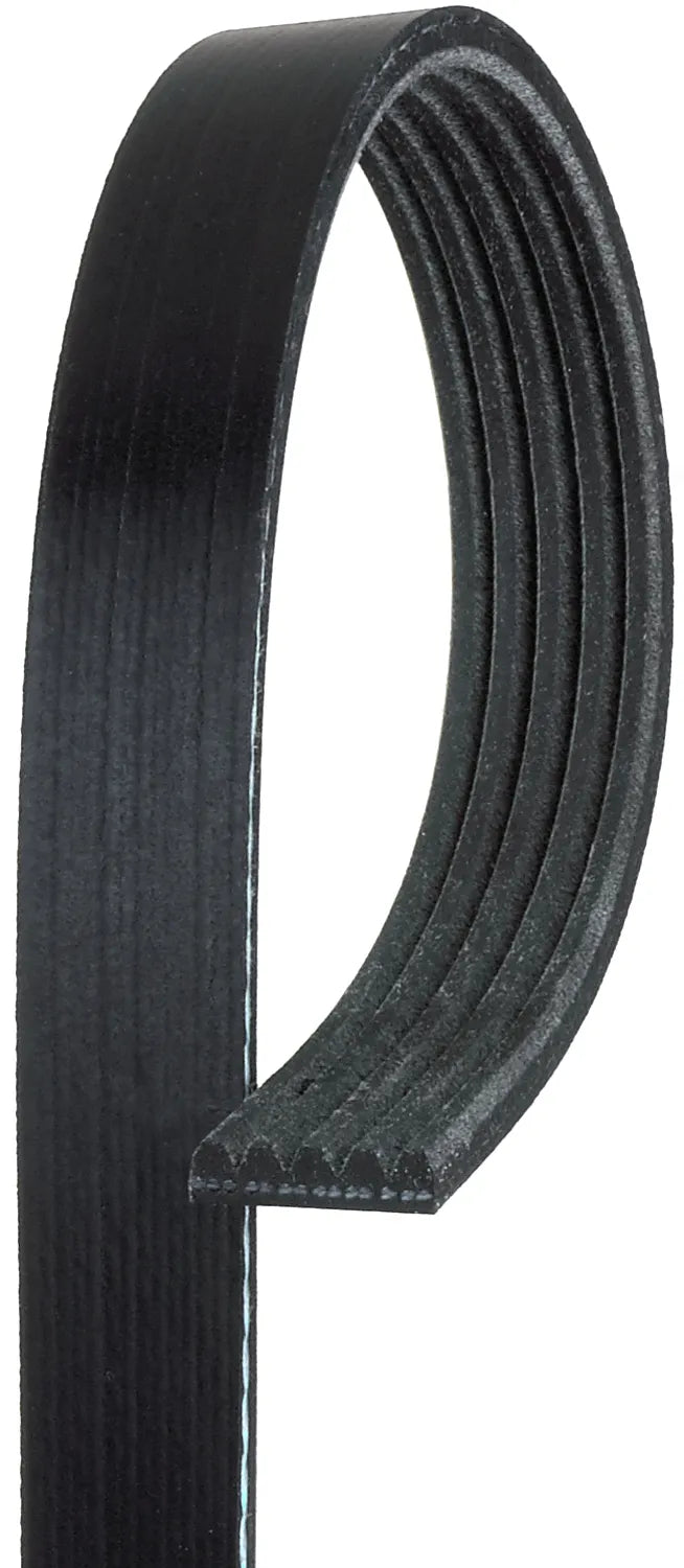 Accessory Belt