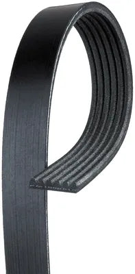 Accessory Belt