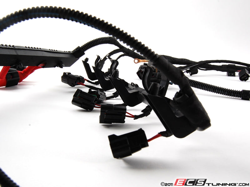 Engine Wiring Harness