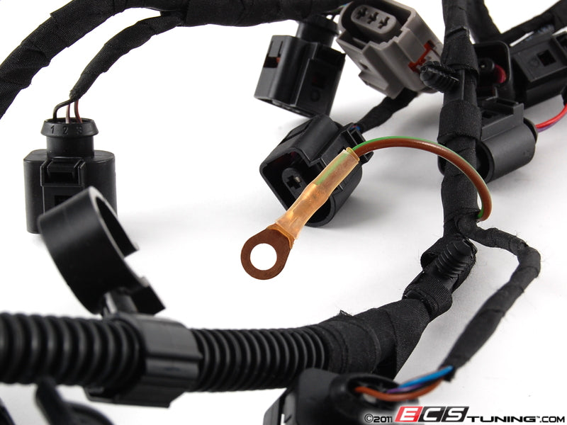 Engine Wiring Harness