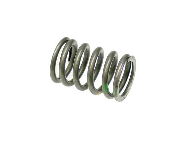 Valve Spring