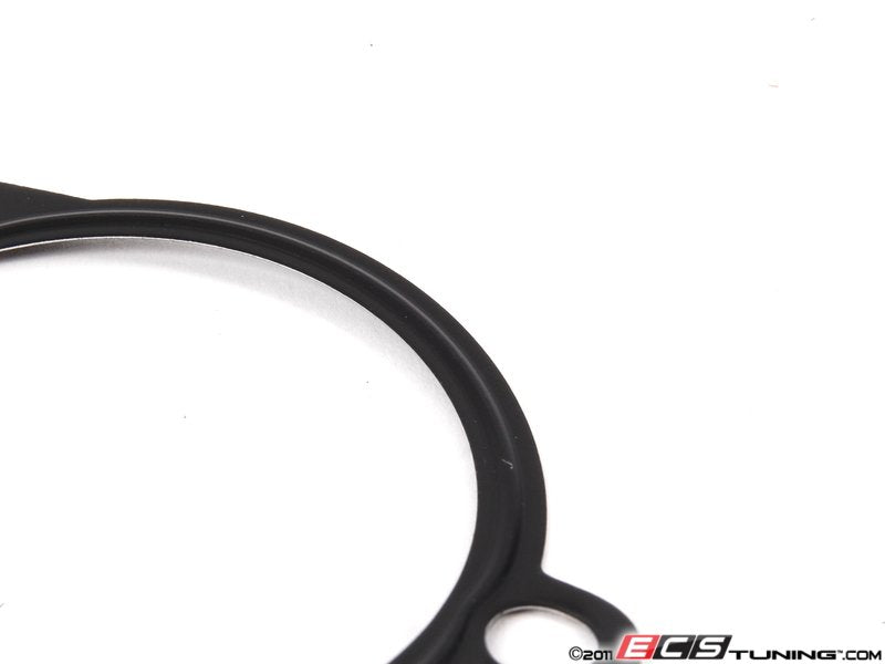 Thermostat Gasket