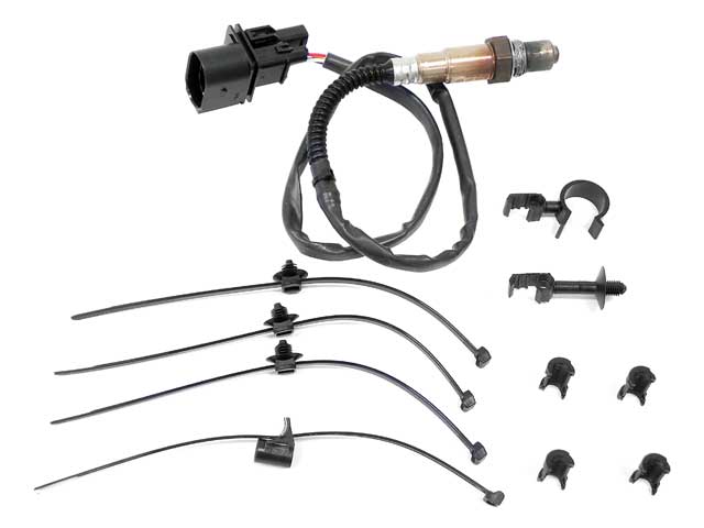 Oxygen Sensor