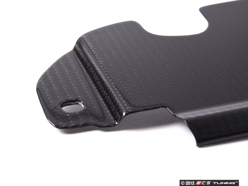 Engine Trim Kit - Carbon Fiber