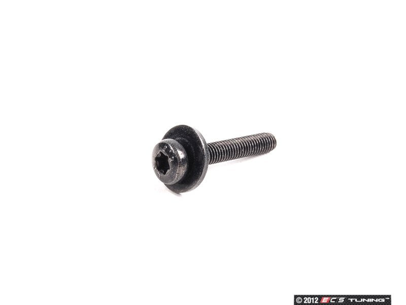 Torx Screw - Priced Each