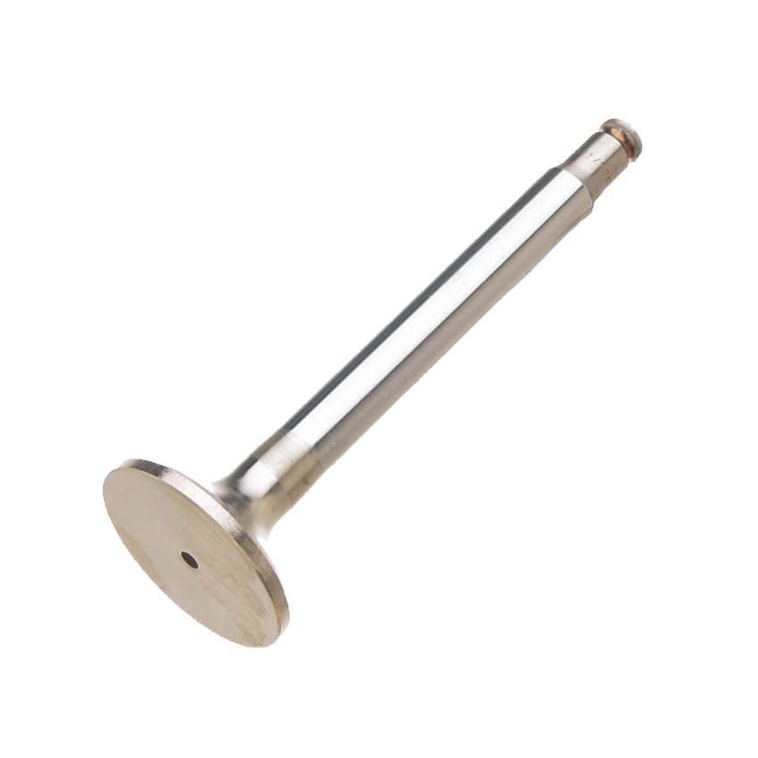 Exhaust Valve