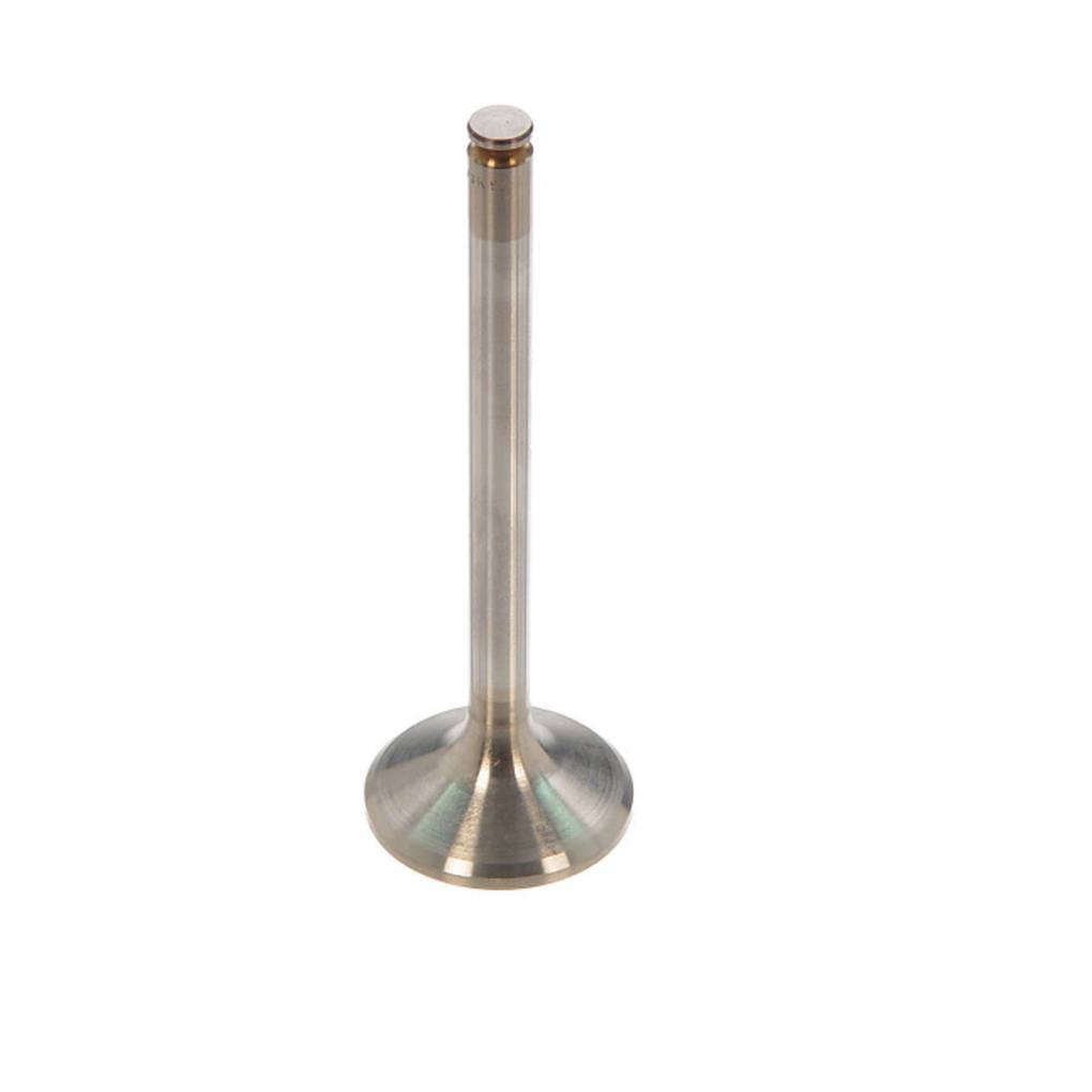 Exhaust Valve