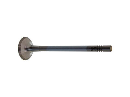 Intake Valve