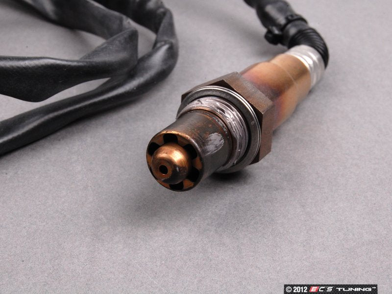 Oxygen Sensor - Priced Each