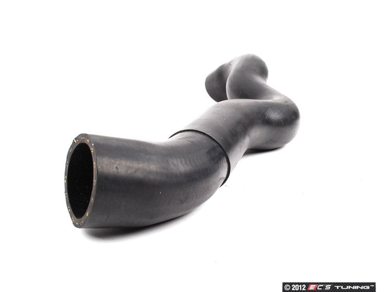 Lower Radiator Hose