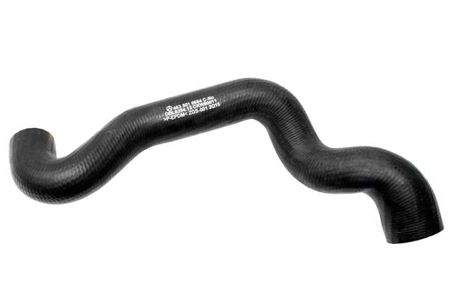 Radiator Hose