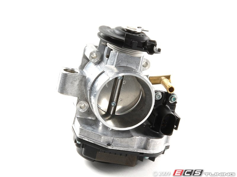 Throttle Body Assembly