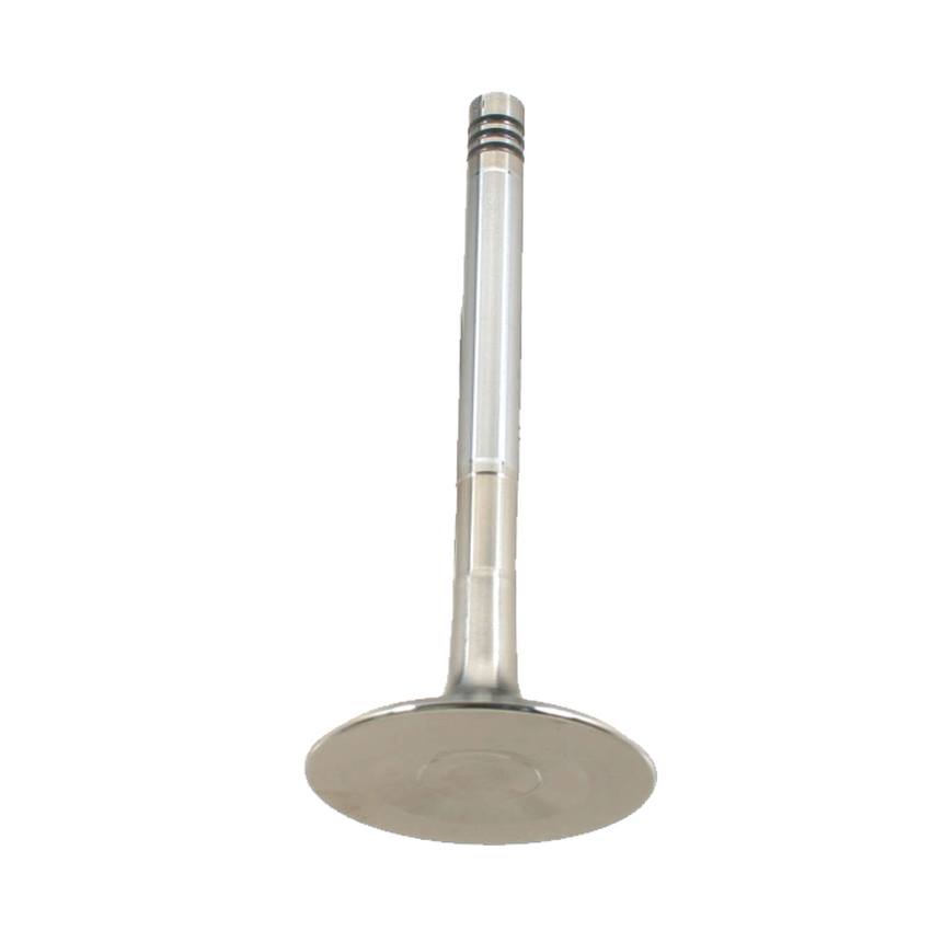 Intake Valve