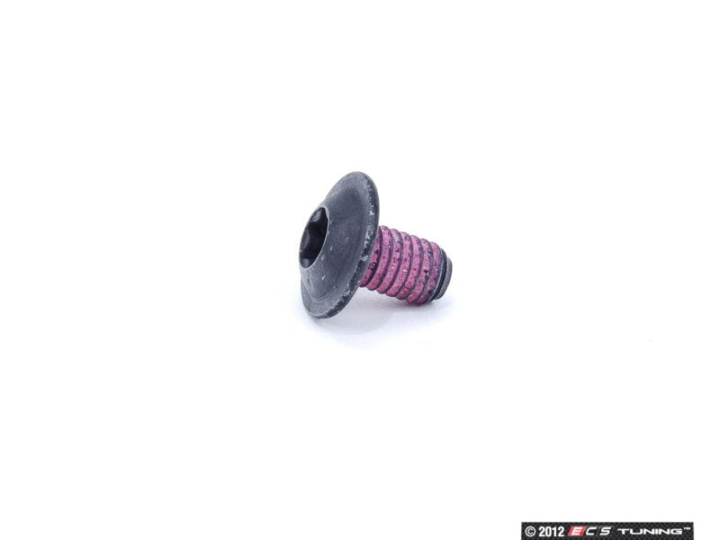 Torx Screw