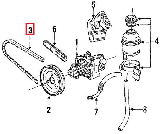 Accessory Drive Belt (10×800)