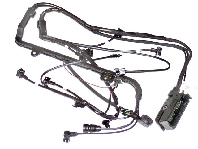 Engine Wiring Harness