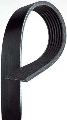 Accessory Belt