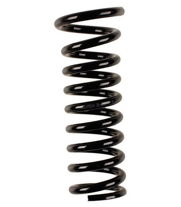 Coil Spring – Rear (B3 OE Replacement)