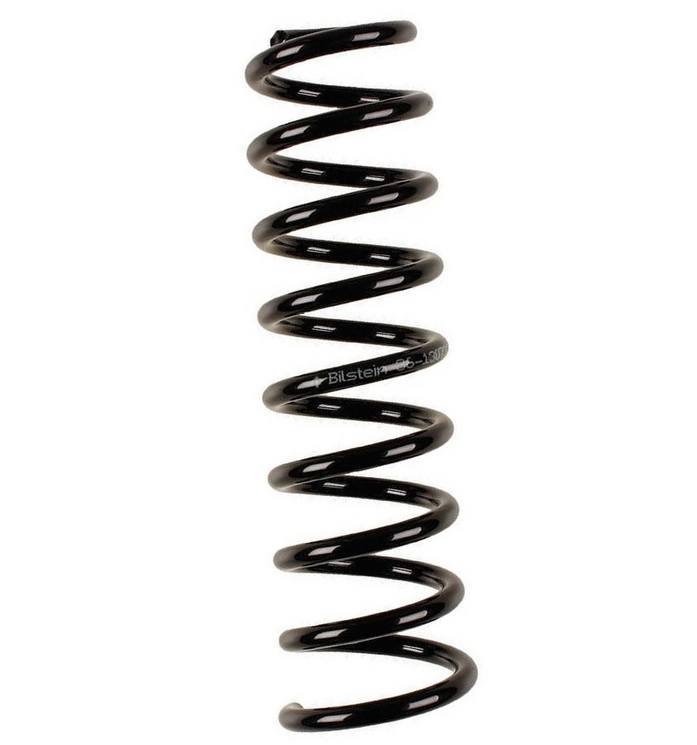 Coil Spring – Rear (With Standard Suspension) (B3 OE Replacement)