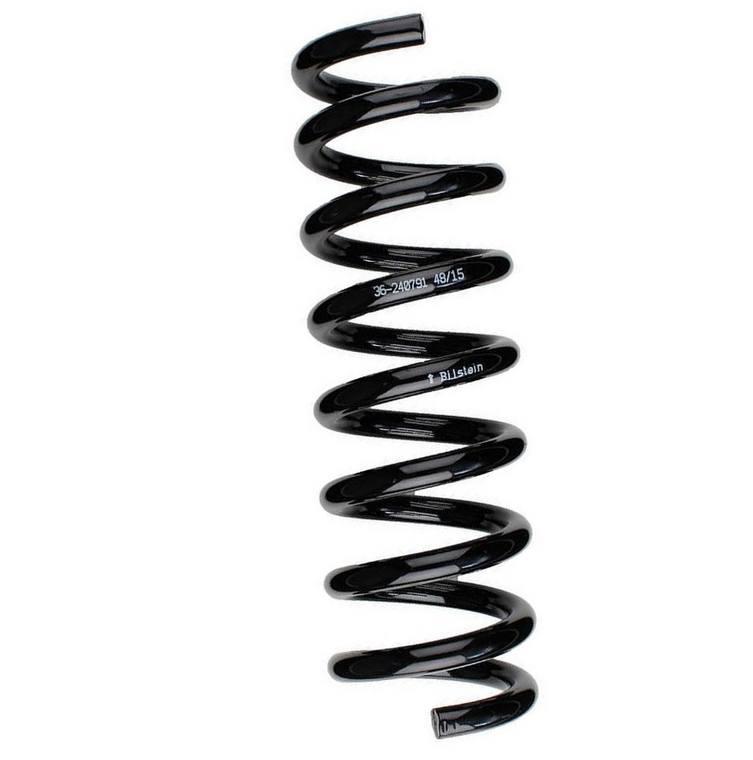 Coil Spring – Rear (With Standard Suspension) (B3 OE Replacement)