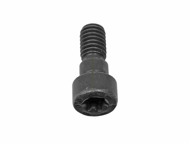 Vanos Unit Fit Bolt