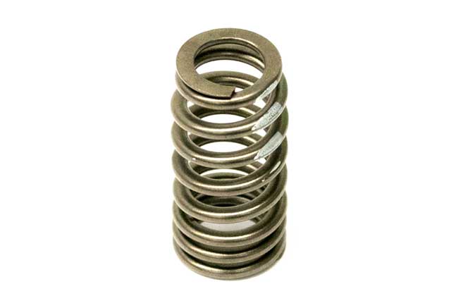 Valve Spring