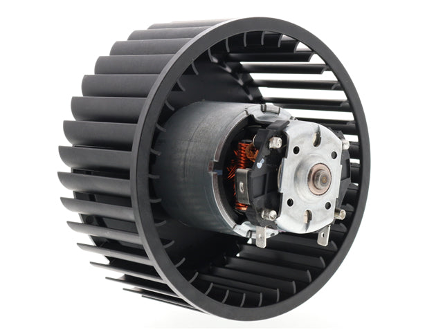 Blower Motor