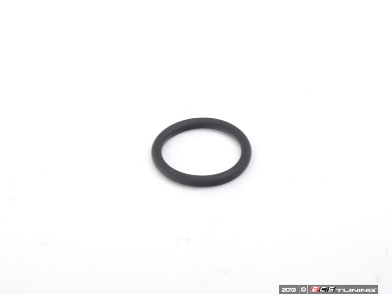 Fuel Injector O-Ring