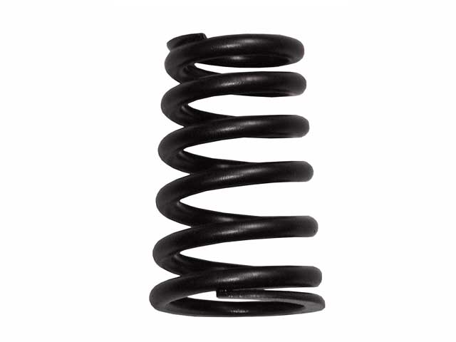 Valve Spring