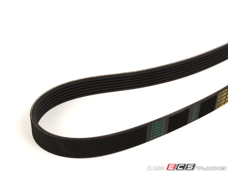 Accessory Drive Belt