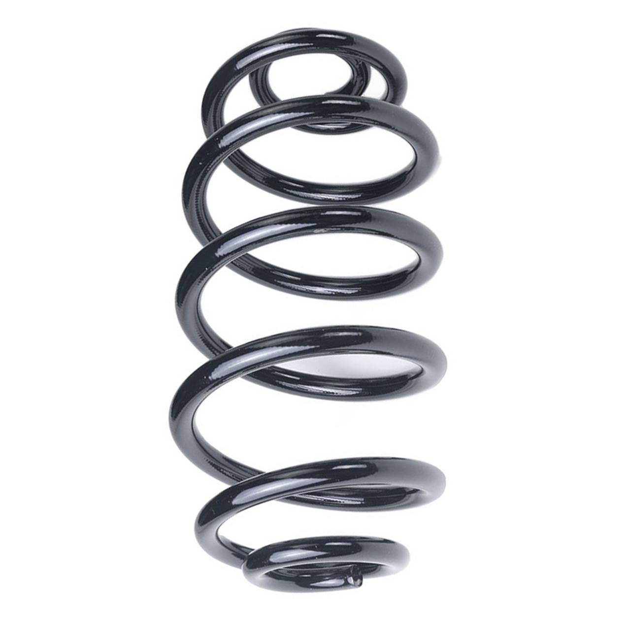 Coil Spring – Rear