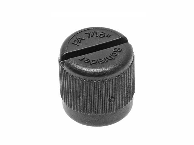 Fuel Pump Cap