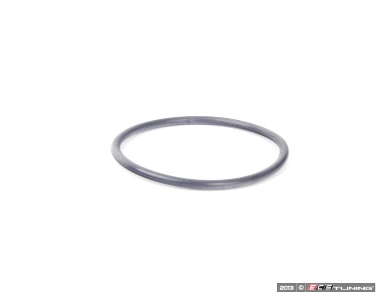 Thermostat O-Ring