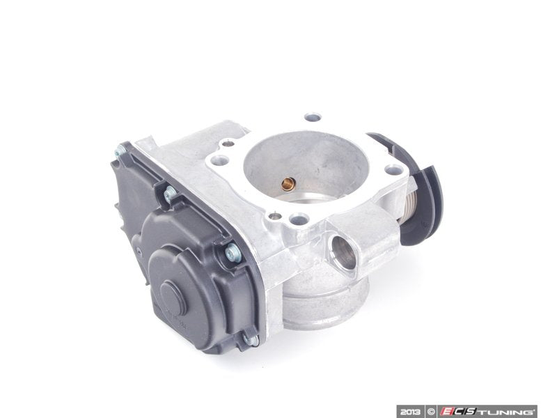 Throttle Body Assembly