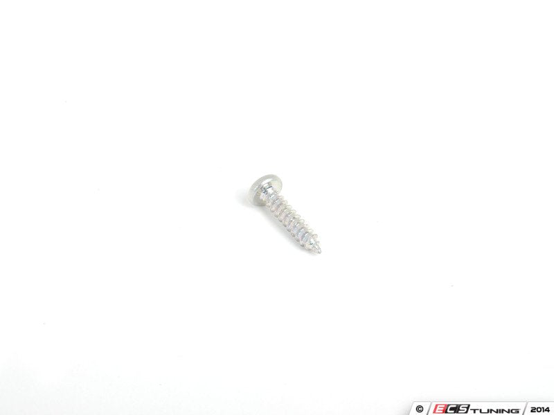 Philips Head Tapping Screw - Priced Each