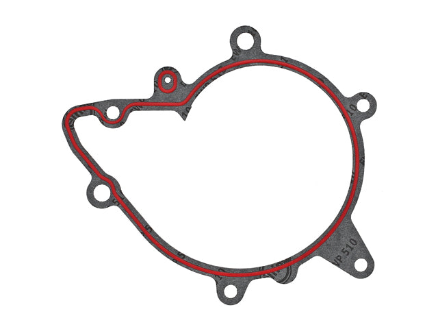 Water Pump Gasket