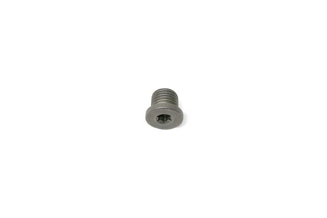 Engine Oil Drain Plug