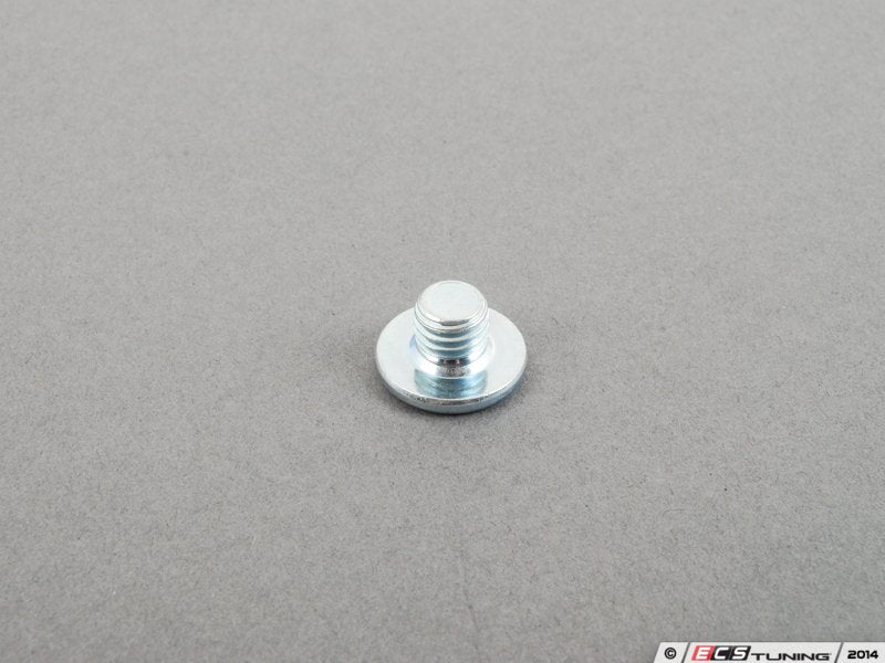 Tiptronic Transmission Oil Drain Plug