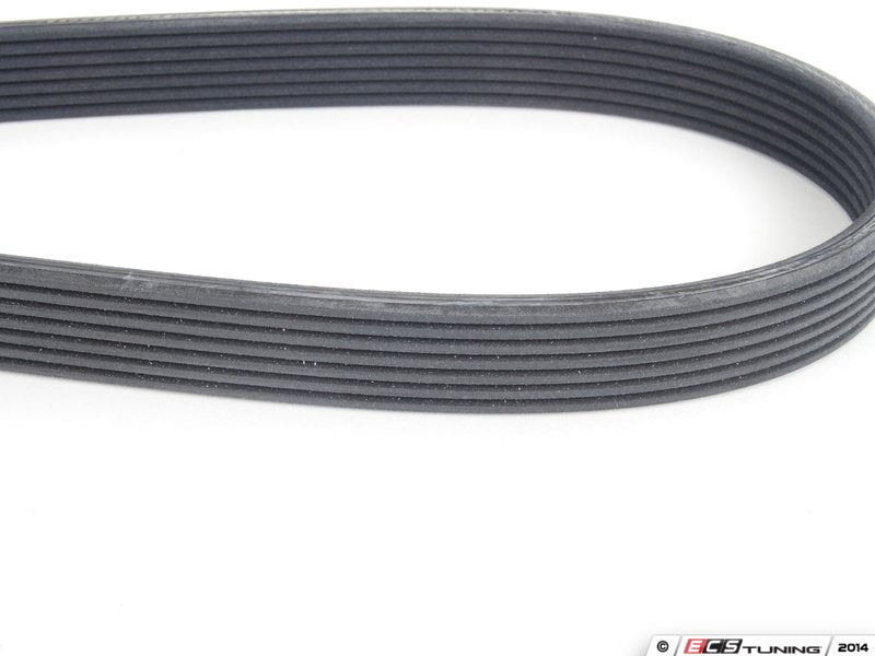 2880mm Rubber Accessory Belt