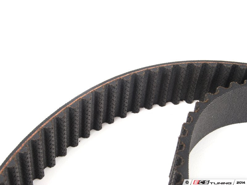 Timing Belt