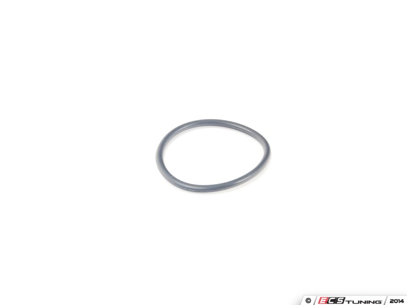 Tiptronic Transmission Fill Plug Seal