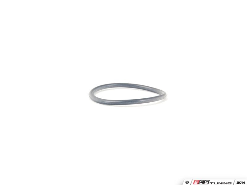 Tiptronic Transmission Fill Plug Seal