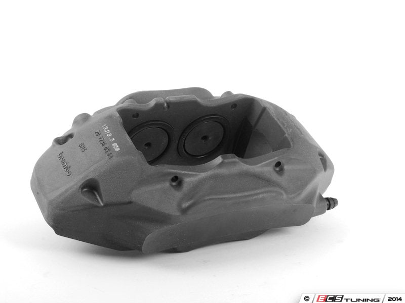 Front Brake Caliper - left