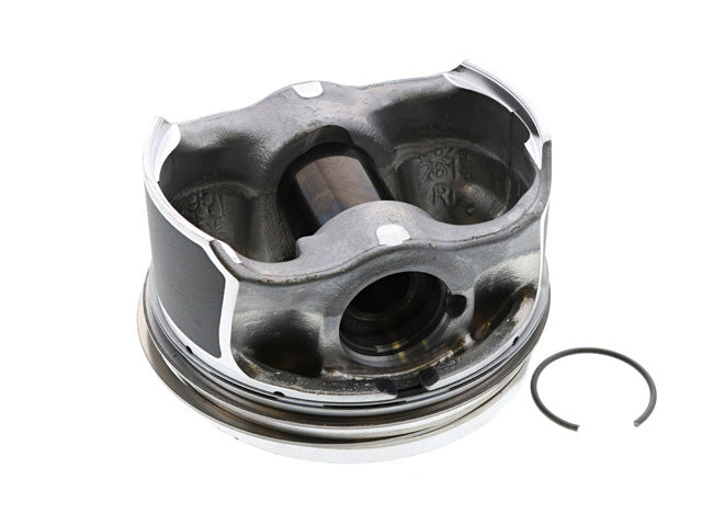 Piston w/Rings