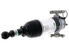 Air Suspension Strut