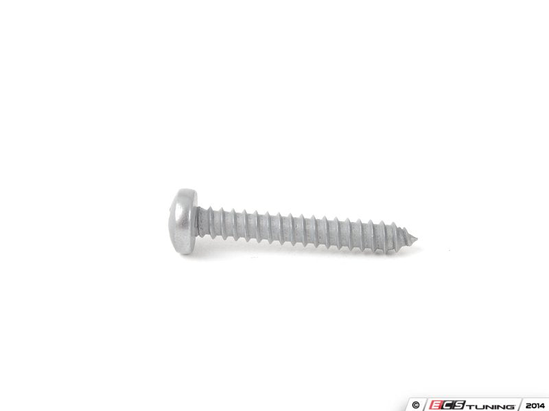 Self Tapping Screw - Priced Each