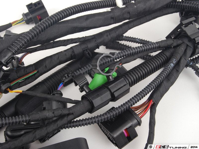 Engine Wiring Harness