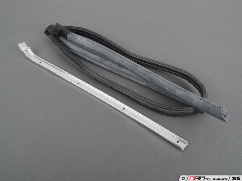 Windshield Frame Seal